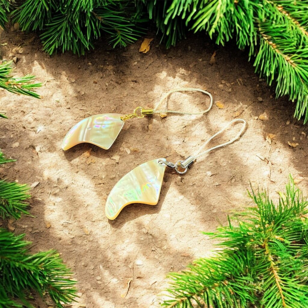 沖縄夜光貝AOVOY（アオヴォイ）