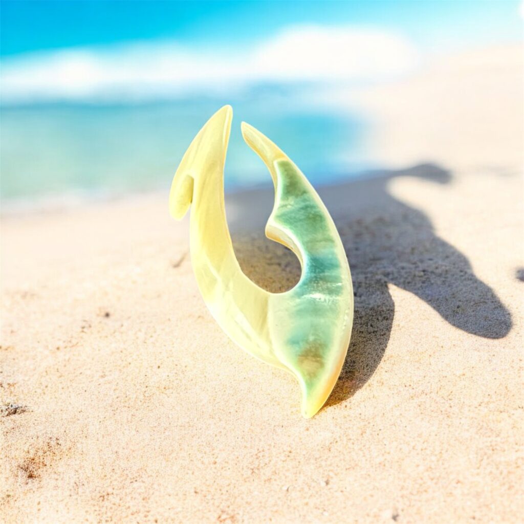 沖縄夜光貝AOVOY（アオヴォイ）