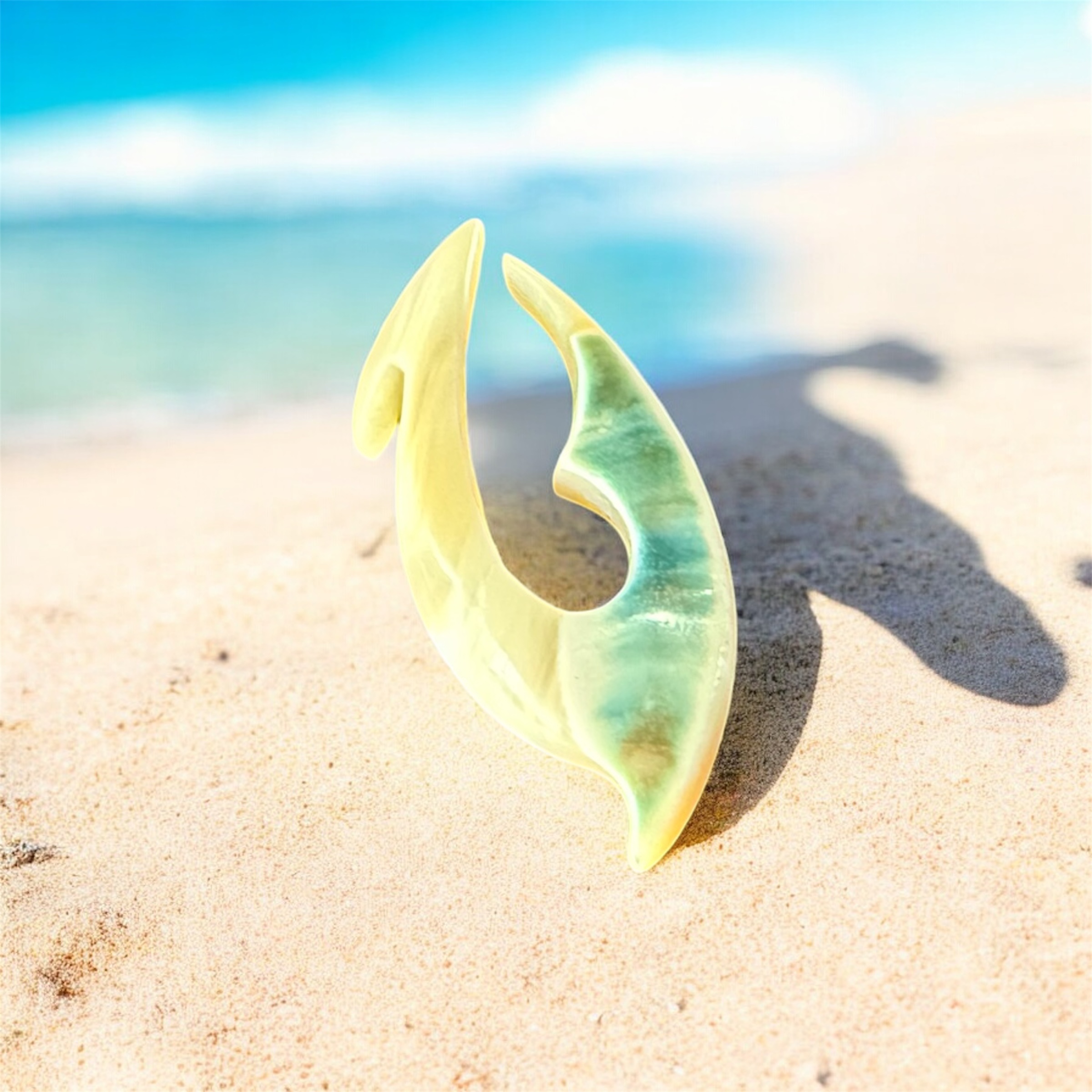 沖縄夜光貝AOVOY(アオヴォイ) 沖縄夜光貝AOVOY(アオヴォイ)