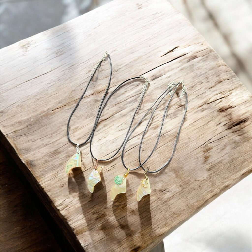 沖縄夜光貝AOVOY（アオヴォイ）