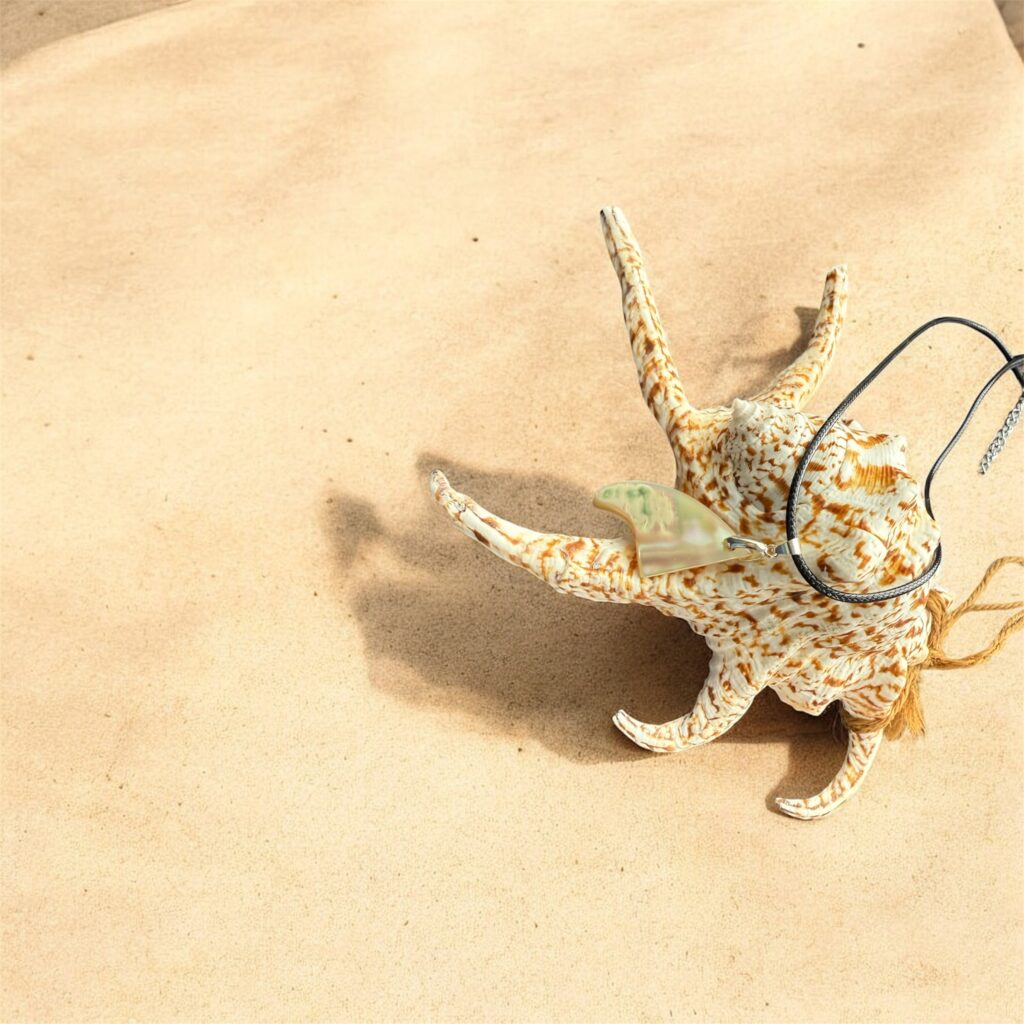 沖縄夜光貝AOVOY(アオヴォイ)