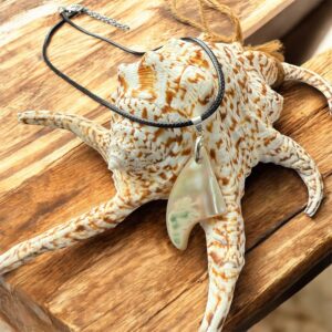 沖縄夜光貝AOVOY（アオヴォイ）