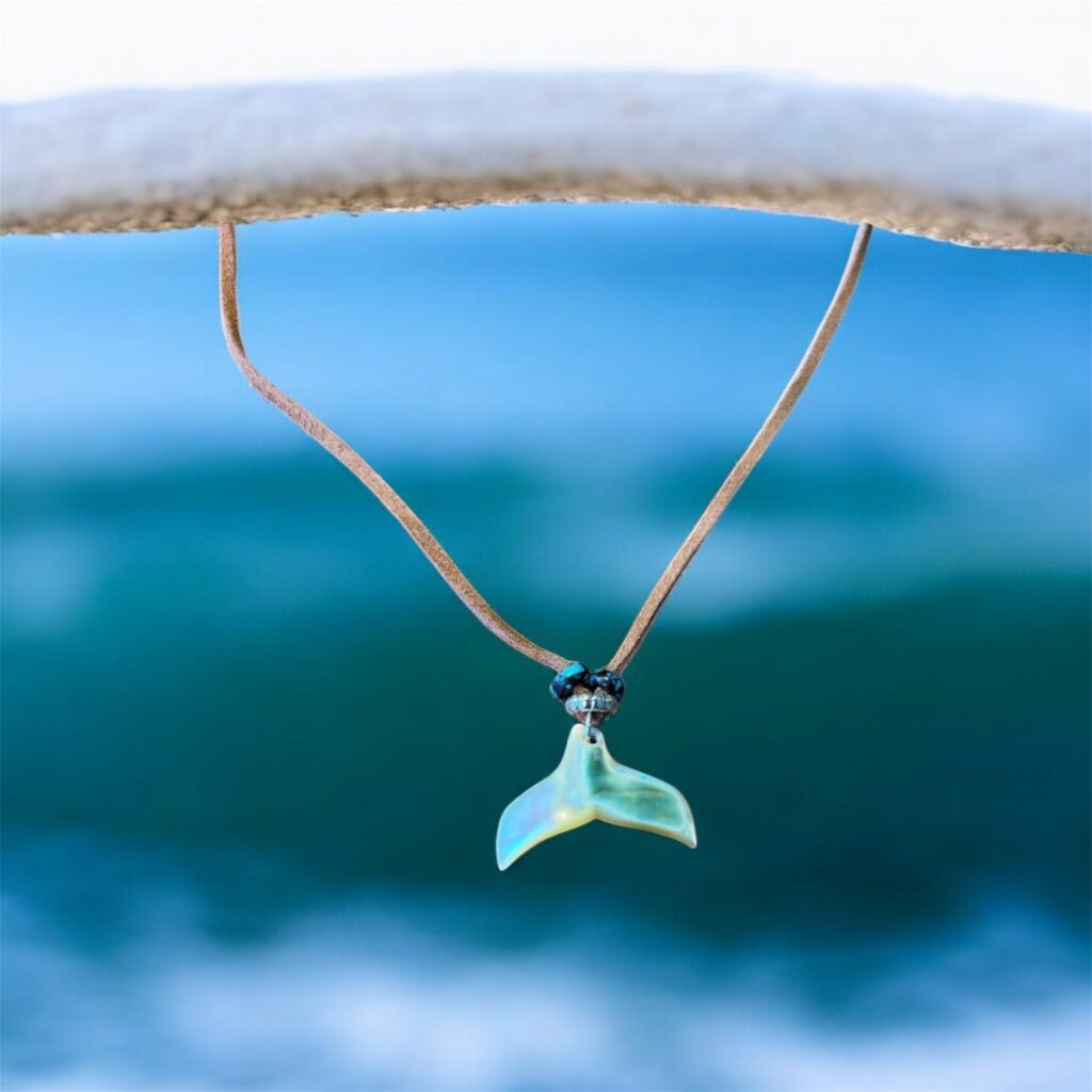 沖縄夜光貝AOVOY（アオヴォイ）