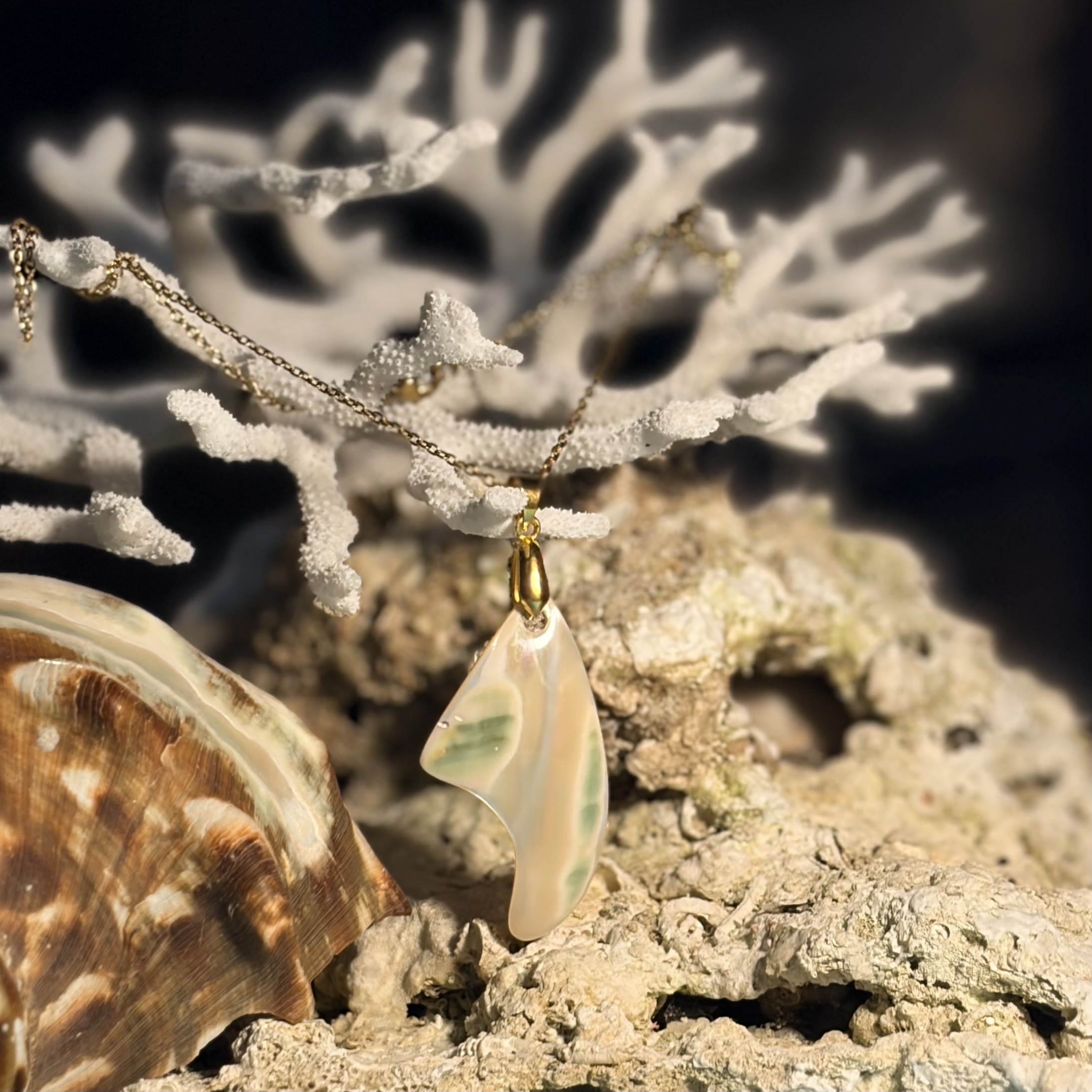 沖縄夜光貝AOVOY(アオヴォイ)ネックレス1