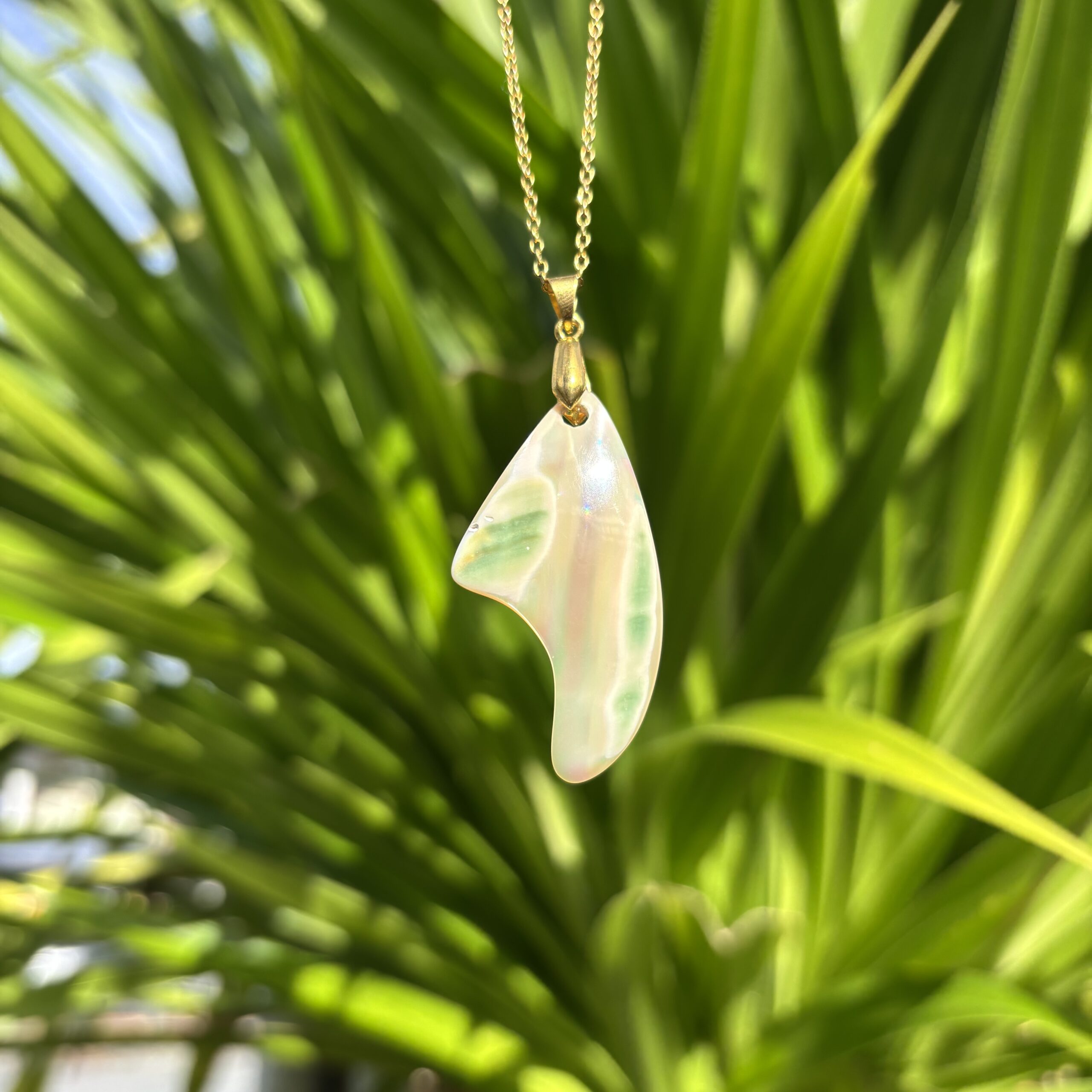 沖縄夜光貝AOVOY(アオヴォイ)ネックレス1