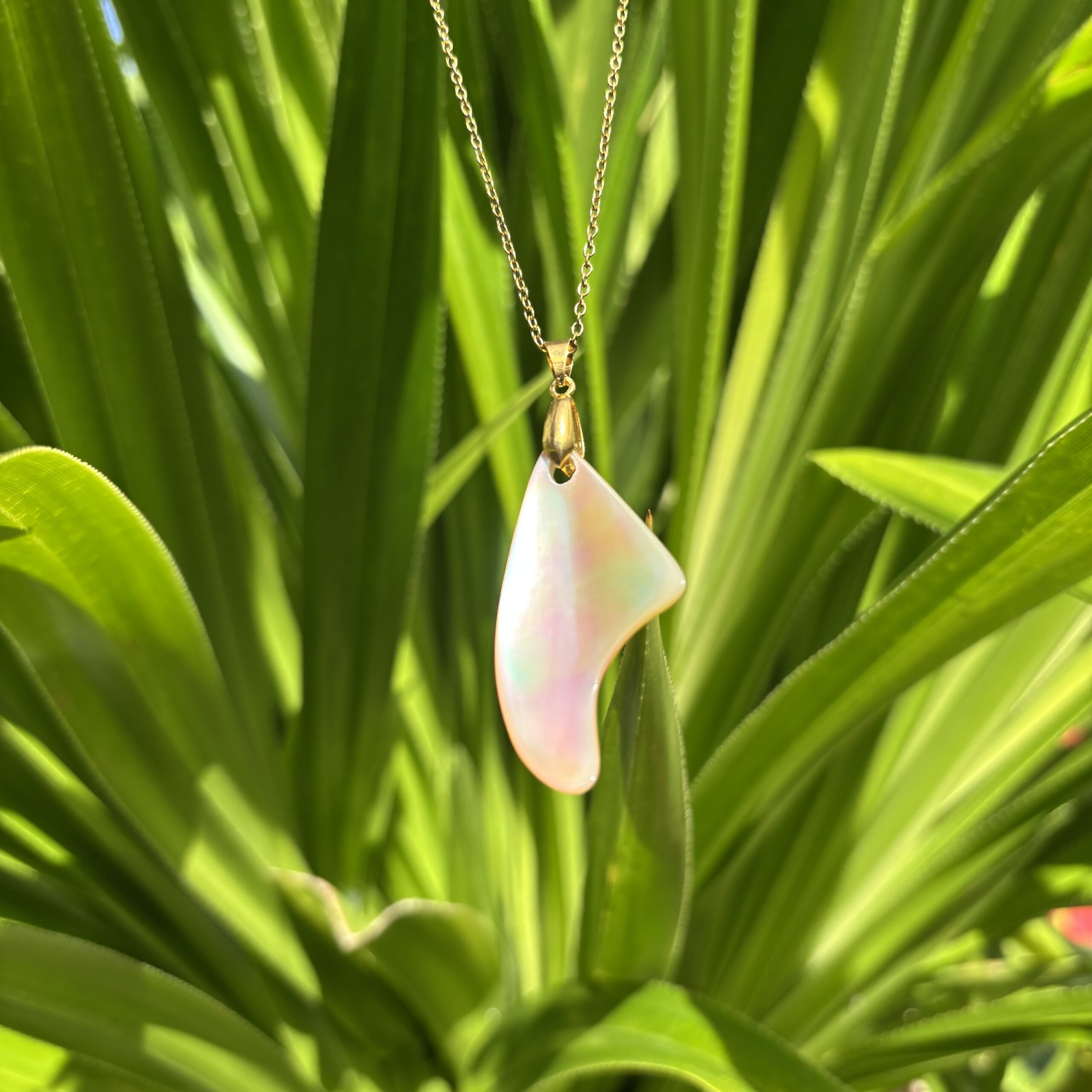 沖縄夜光貝AOVOY(アオヴォイ)ネックレス1