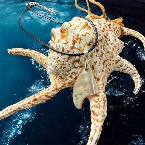 沖縄夜光貝AOVOY（アオヴォイ）